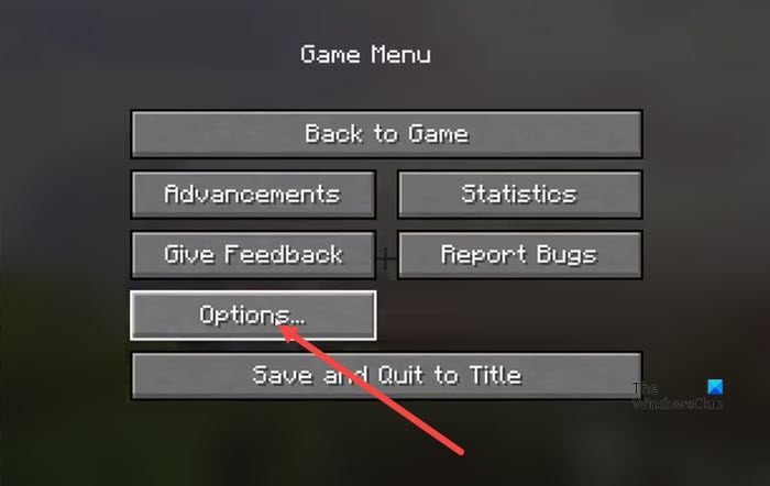 Minecraft Options