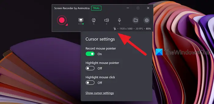 Cursor settings in Screen Recorder by Animotica