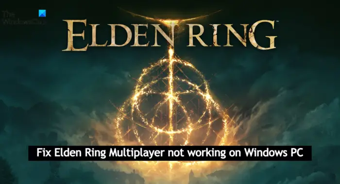 Fix Elden Ring Multiplayer not working on Windows PC
