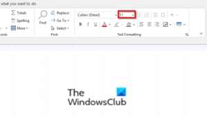 How to change Font face, size, and color in Access