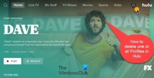 How to delete one or all profiles in Hulu