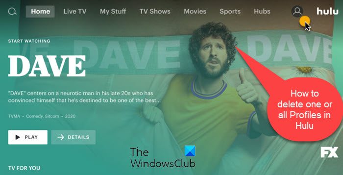 How to delete one or all Profiles in Hulu