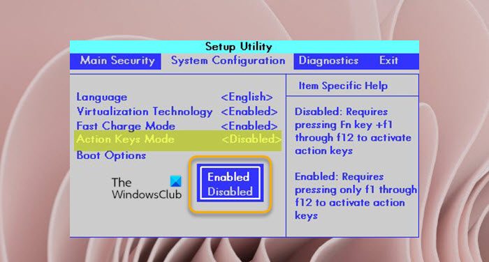 Lock and Unlock Function (Fn) key via BIOS/UEFI Settings