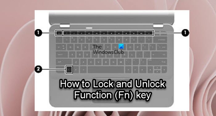Lock and Unlock Function (Fn) key