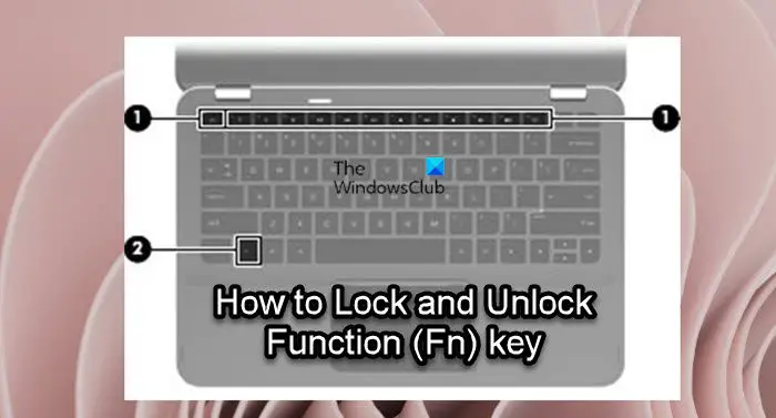 Клавиша функции блокировки и разблокировки (Fn)