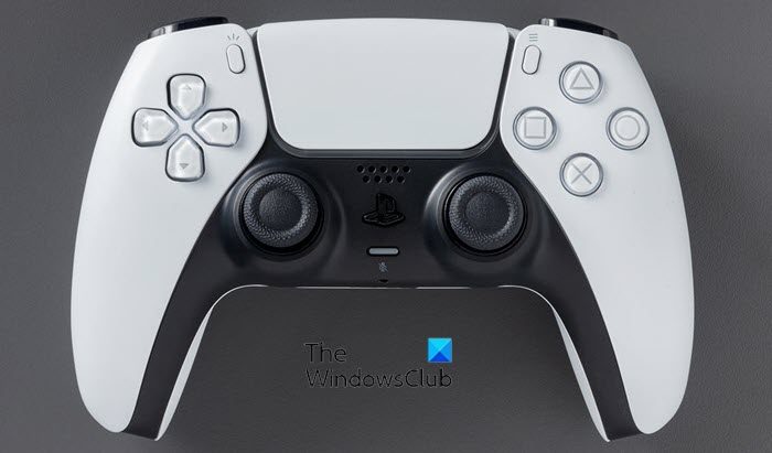 PS5 Controller