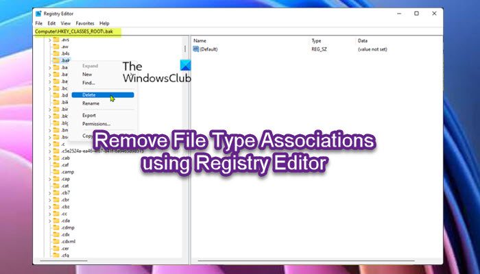 Remove File Type Associations using Registry Editor