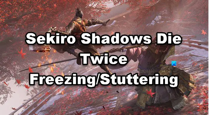 Sekiro Shadows Die Twice Freezing/Stuttering