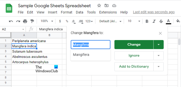 Use Spell Check tool in Google Sheets