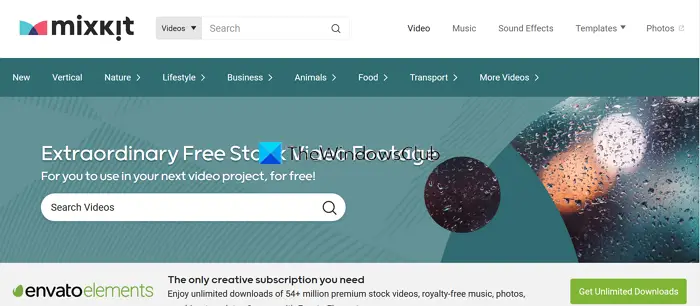 Vertical Nature Stock Video Footage, Royalty Free Vertical Nature Videos