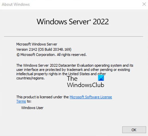windows server 2022