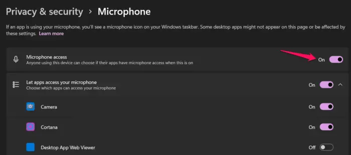 Enable Microphone access