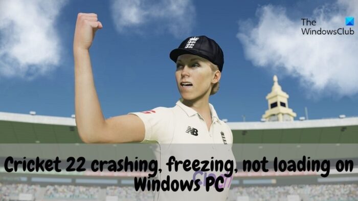 Fix Cricket crashing, freezing, not loading on Windows PC