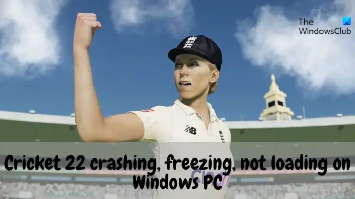 Fix Cricket 22 crashing, freezing or not loading problem on Windows PC