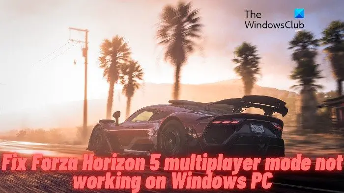 Forza Horizon 5 multiplayer mode not working on Windows PC