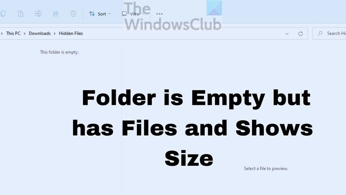 Folder is Empty but has Files and Shows Size