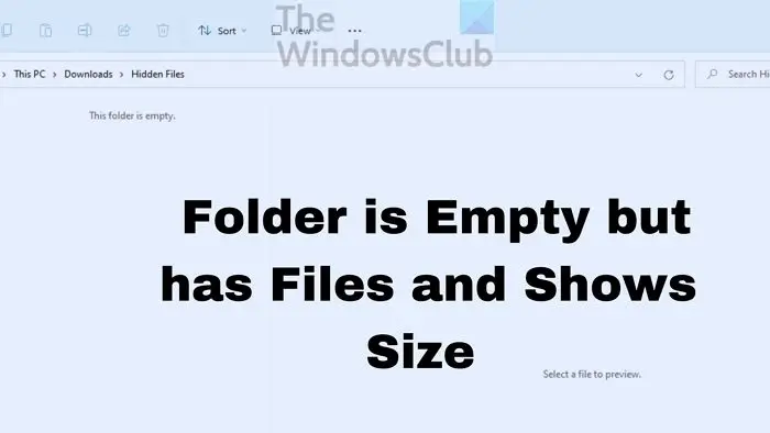 Folder is empty but contains files and shows size