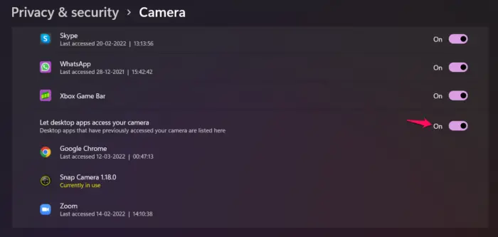 Give required permissions to Snap Camera