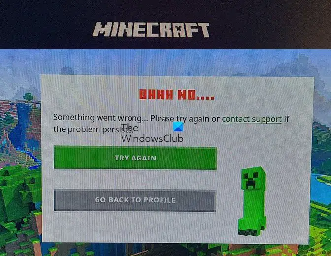 OHH NO, Something went wrong Minecraft error