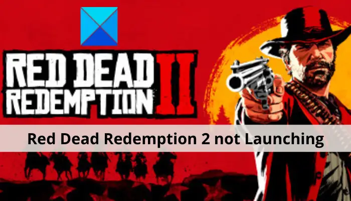 Red Dead Redemption 2 won't launch