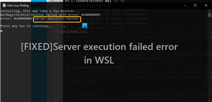Server execution failed error in WSL