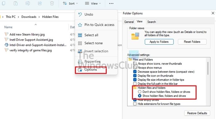 Show Hidden Files Folders Drives