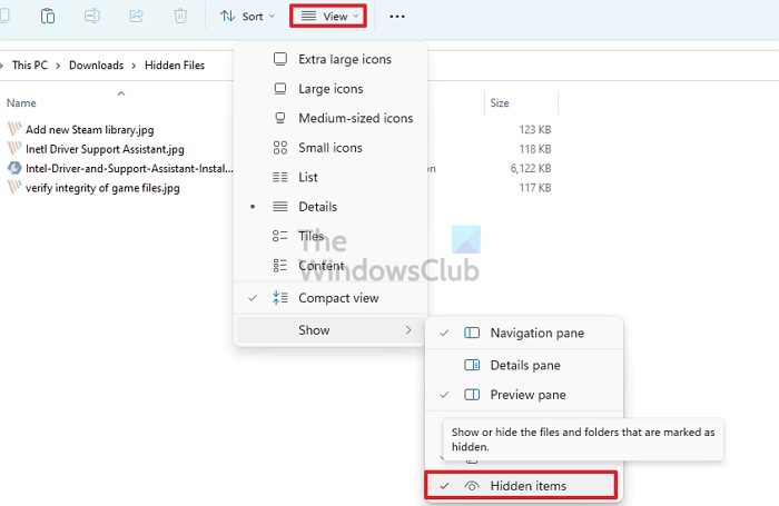 Show Hidden Items in File Explorer