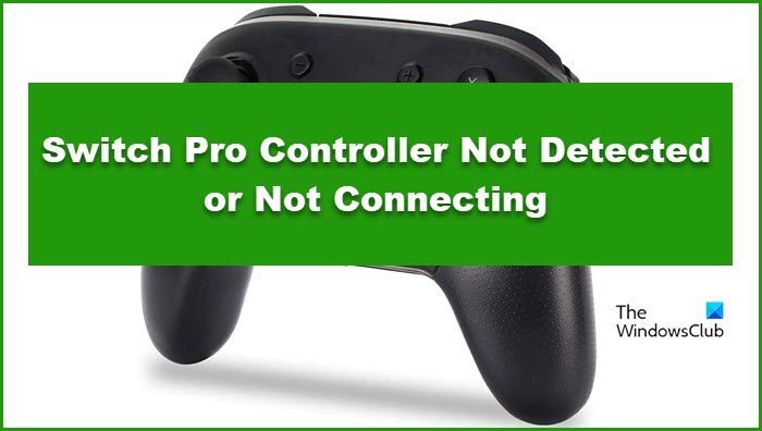 Nintendo Switch Pro Controller Not detected or Not connecting