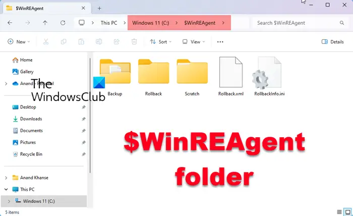 $WinREAgent folder