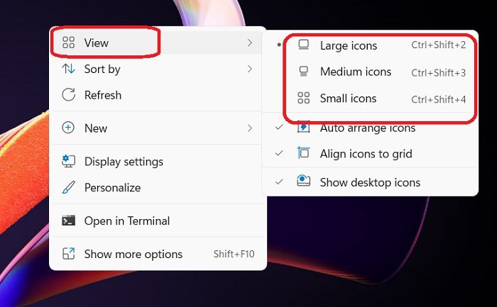 How to change Icon Size in Windows 11/10