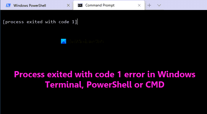 Process exited with code 1 error in Windows Terminal, PowerShell or CMD