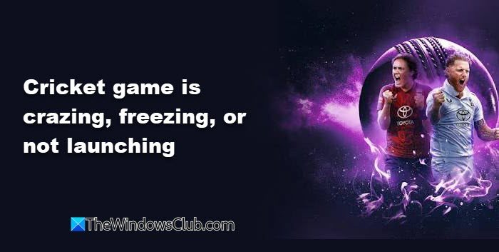 Cricket game is crazing, freezing, or not launching