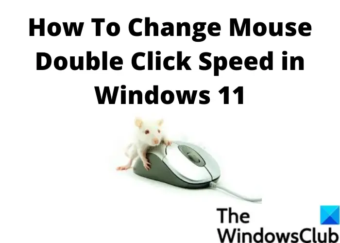 How to change Mouse Double Click Speed in Windows 11