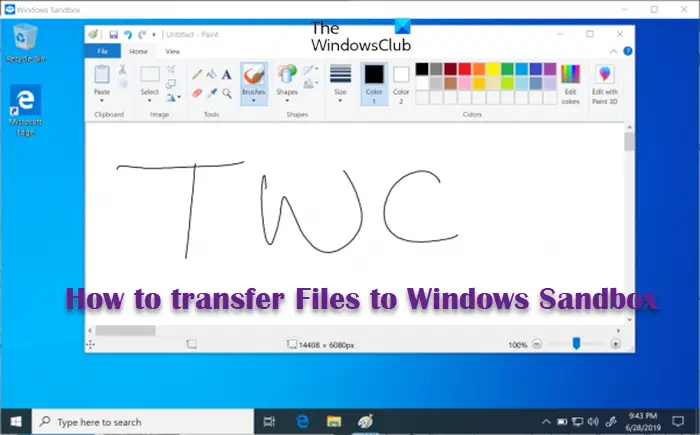 How to transfer Files to Windows Sandbox