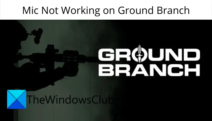 Mic Not Working on Ground Branch