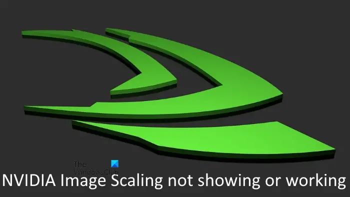 NVIDIA Image Scaling не отображается или не работает