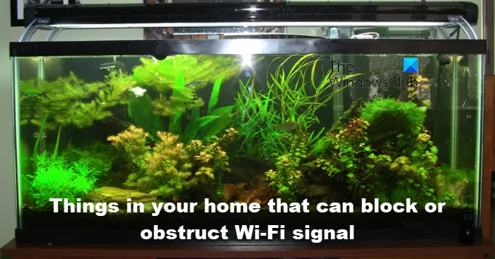 Things in your home that can block or obstruct Wi-Fi signal