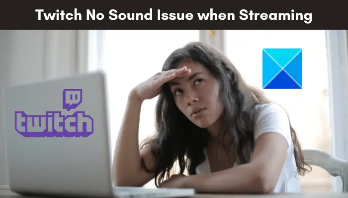 Twitch No Sound when streaming [Fixed]