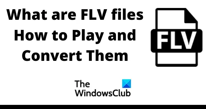 What are FLV files and How to Play and Convert them?