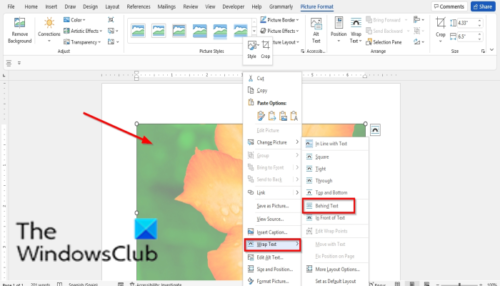 How to make a picture transparent in word