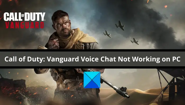 Call of Duty: Vanguard Voice Chat Not Working on PC