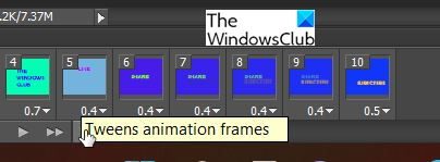 Duplicate Animation Frames