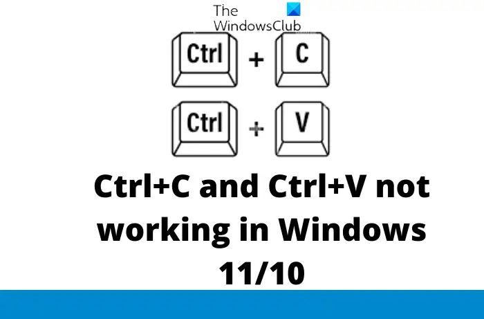 Ctrl+C and Ctrl+V not working