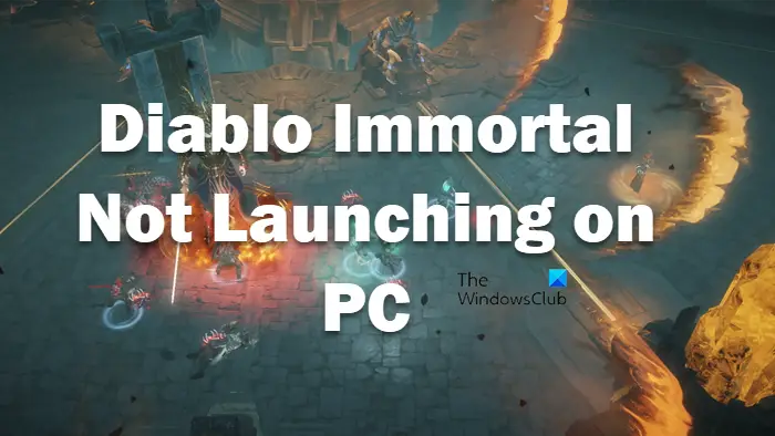 Diablo Immortal does not play on PC