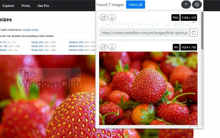 How to download Photos from Flickr