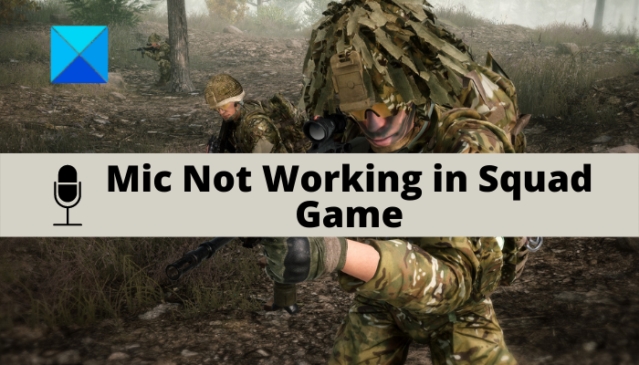 Le Micro Ne Fonctionne Pas Dans Le Jeu Squad Sur Pc Windows Le Micro Ne Fonctionne Pas Dans Le Jeu Squad Sur Pc Windows