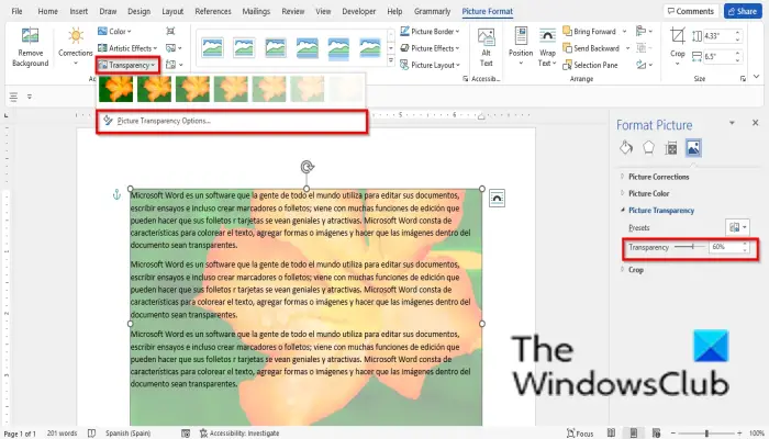 How to make a Picture transparent in Word