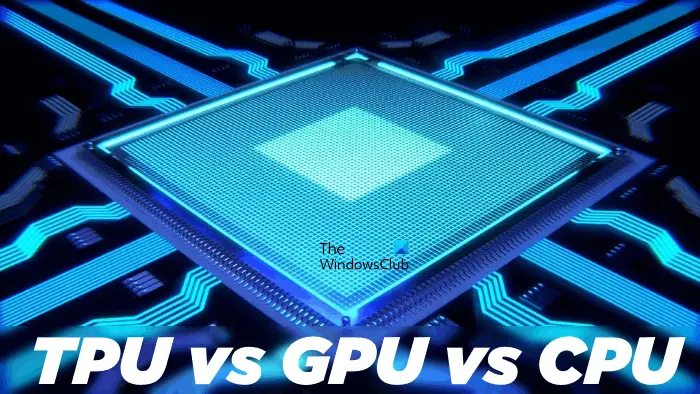 TPU vs GPU vs CPU