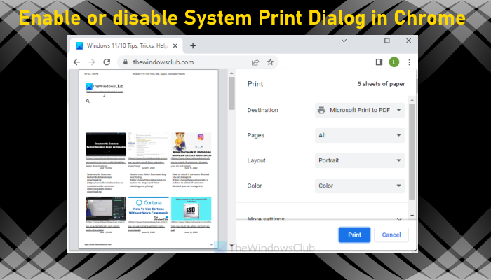 disable system print dialog chrome
