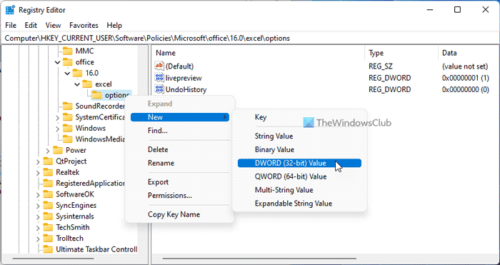 How to modify the number of undo levels in excel